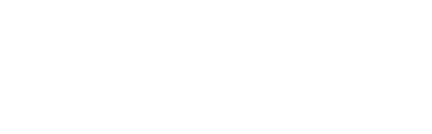 Pitstop Logo